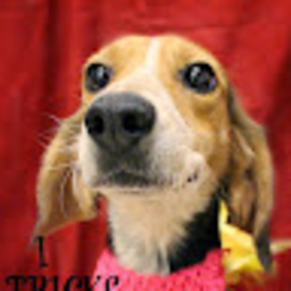 l_suttell